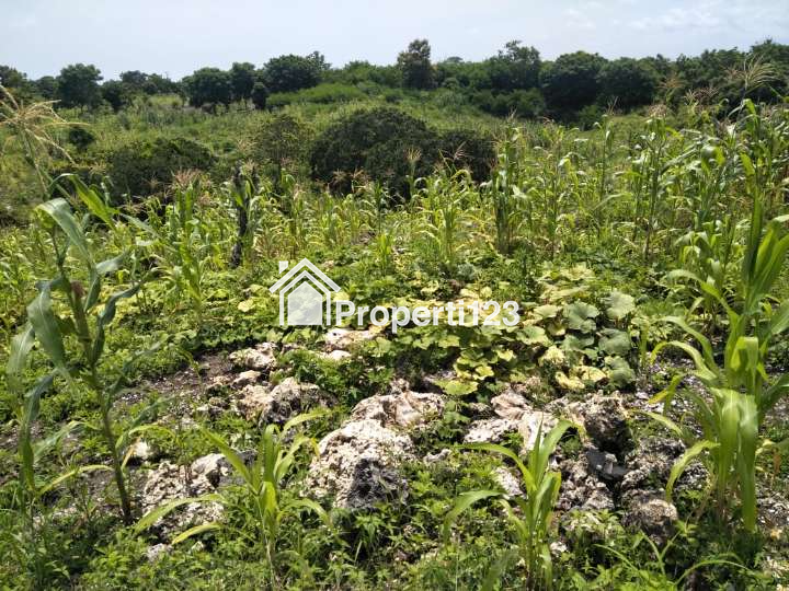 DIJUAL CEPAT: TANAH PINGGIR PANTAI KAGHONA, BONDO BOGHILA, SUMBA BARAT DAYA, NTT - 7