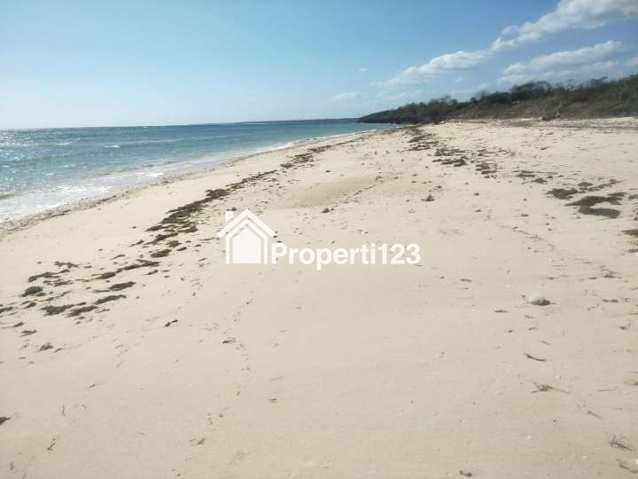 DIJUAL CEPAT: TANAH PINGGIR PANTAI KAGHONA, BONDO BOGHILA, SUMBA BARAT DAYA, NTT - 6