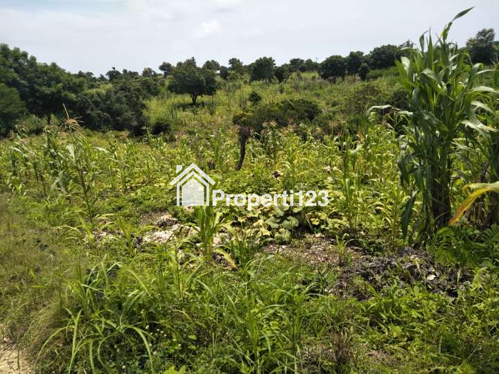 DIJUAL CEPAT: TANAH PINGGIR PANTAI KAGHONA, BONDO BOGHILA, SUMBA BARAT DAYA, NTT - 5
