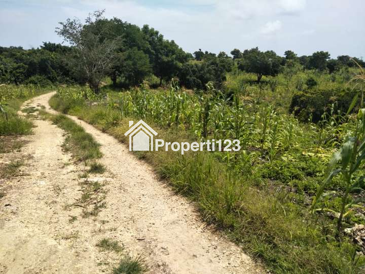 DIJUAL CEPAT: TANAH PINGGIR PANTAI KAGHONA, BONDO BOGHILA, SUMBA BARAT DAYA, NTT - 3