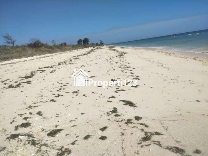 DIJUAL CEPAT: TANAH PINGGIR PANTAI KAGHONA, BONDO BOGHILA, SUMBA BARAT DAYA, NTT - 2