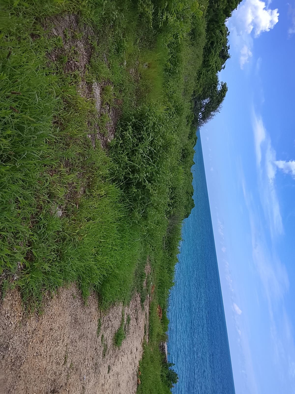 DIJUAL SEGERA: TANAH PINGGIR PANTAI KAWONA, SUMBA BARAT DAYA, NTT; COCOK UNTUK HOTEL, RESORT, ATAU VILLA - 27