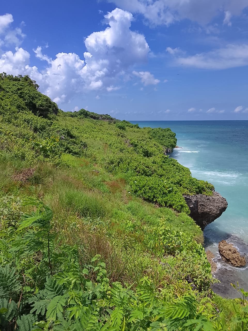 DIJUAL SEGERA: TANAH PINGGIR PANTAI KAWONA, SUMBA BARAT DAYA, NTT; COCOK UNTUK HOTEL, RESORT, ATAU VILLA - 21