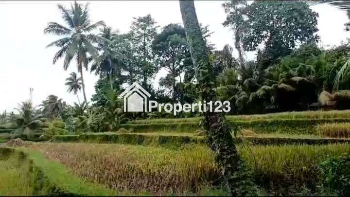 Dijual Tanah 1,2 Hektar Di Tegalalang Ubud Gianyar Bali - 2