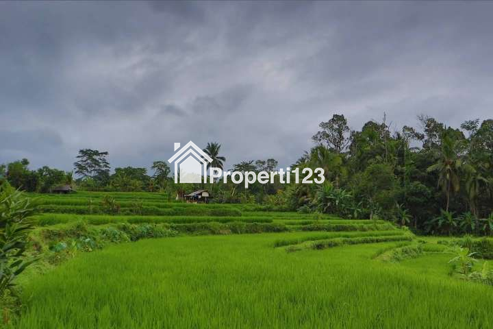 Dijual Tanah 1,2 Hektar Di Tegalalang Ubud Gianyar Bali - 3