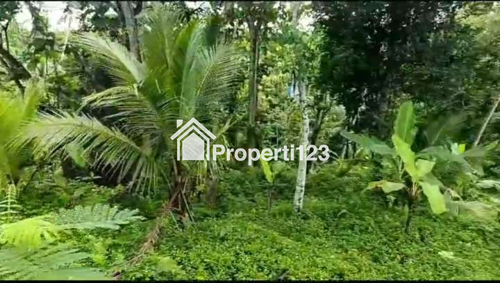 Dijual Tanah 1,2 Hektar Di Tegalalang Ubud Gianyar Bali - 1