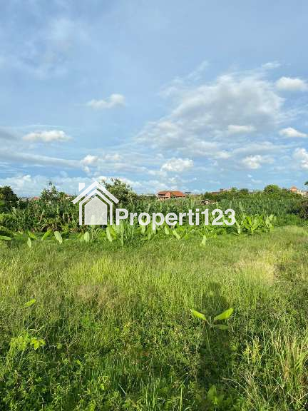 Disewakan Tanah Area Banjar Semer Kerobokan Dkt Ke Umalas,Tegal Cupek,Canggu Bali - 2