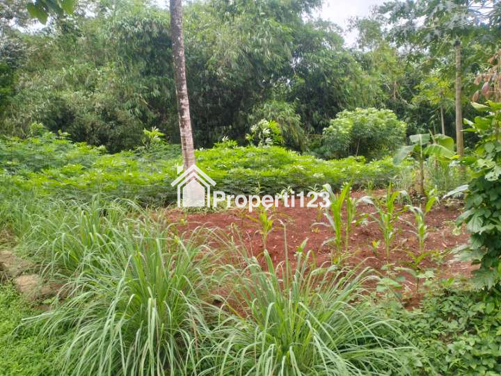 Dijual Tanah Curug Serang - 2