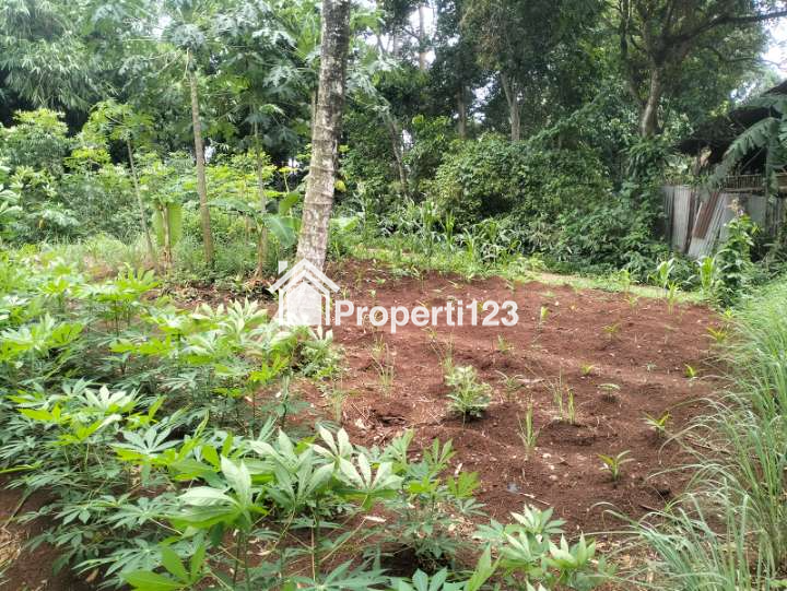 Dijual Tanah Curug Serang - 3