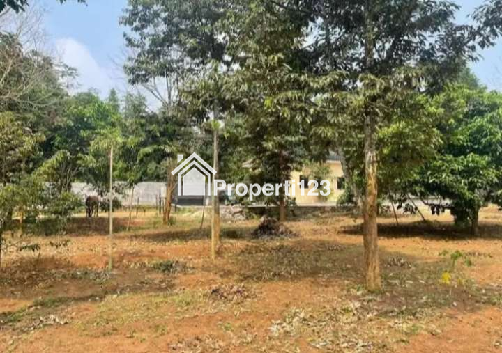 Dijual Villa Perkebunan Dalung Serang - 7