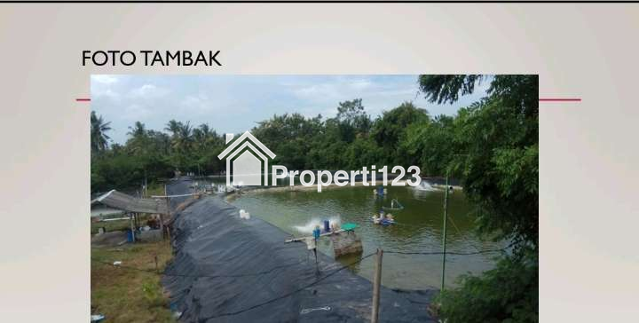 Disewakan Tambak Siap Pakai Di Negara Jembrana Bali - 3