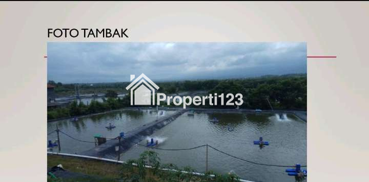 Disewakan Tambak Siap Pakai Di Negara Jembrana Bali - 4