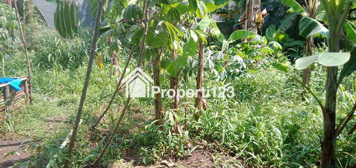 TANAH 810 M2 SHM MUKA 30 METER UNTUK RUMAH TINGGAL KOST ATAU KANTOR DEKAT PUSAT KULINER PERTOKOAN DAN PERKANTORAN DI SAYAP JALAN BUAH BATU BANDUNG - 3