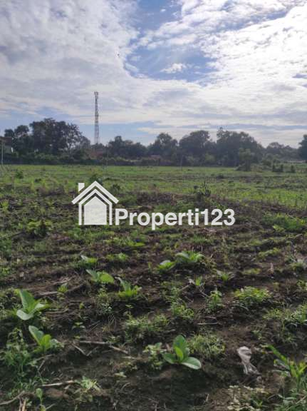 Dijual Tanah di Situbondo - 1