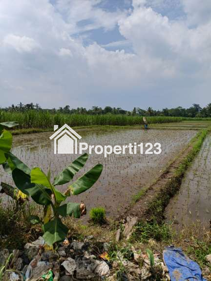Tanah sawah produktif - 3