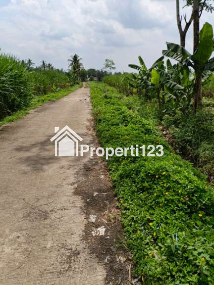 Tanah sawah produktif - 2