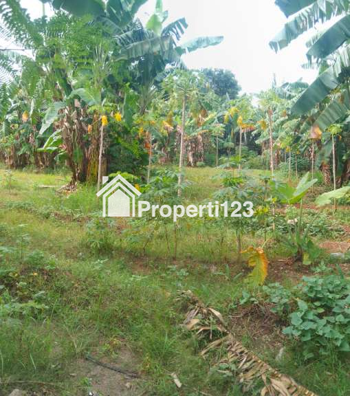 Dijual Tanah Datar 1531 m² Di Kotabumi Tangerang Nego Sampai Jadi - 6