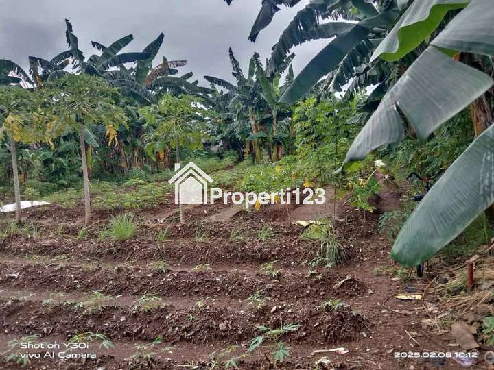 Dijual Tanah Datar 1531 m² Di Kotabumi Tangerang Nego Sampai Jadi - 8