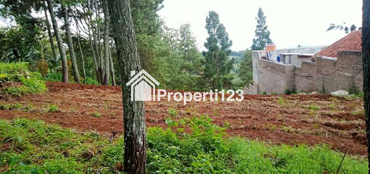 Tanah 2755 m2 SHM Muka 20 Meter View Kota Bandung Untuk Rumah Villa Resto Cafe di Kawasan Dago Bandung - 2