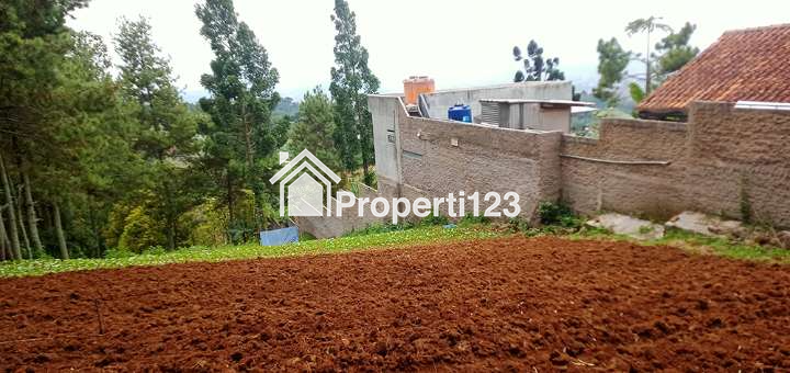 Tanah 2755 m2 SHM Muka 20 Meter View Kota Bandung Untuk Rumah Villa Resto Cafe di Kawasan Dago Bandung - 4