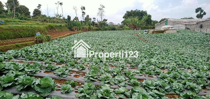 Tanah 2 Hektar Harga Murah Untuk Perumahan Resort Villa Agro Wisata Agro BIsnis di Padaasih Kabupaten Bandung Barat - 2