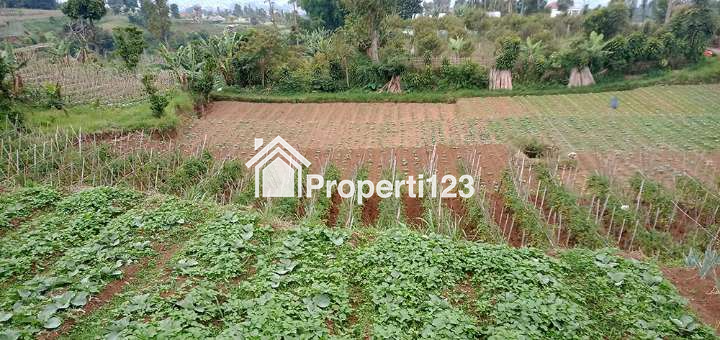 Tanah 2 Hektar Harga Murah Untuk Perumahan Resort Villa Agro Wisata Agro BIsnis di Padaasih Kabupaten Bandung Barat - 7