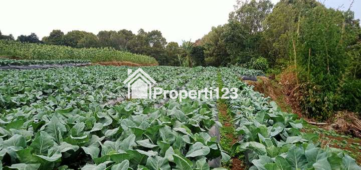 Tanah 2 Hektar Harga Murah Untuk Perumahan Resort Villa Agro Wisata Agro BIsnis di Padaasih Kabupaten Bandung Barat - 5