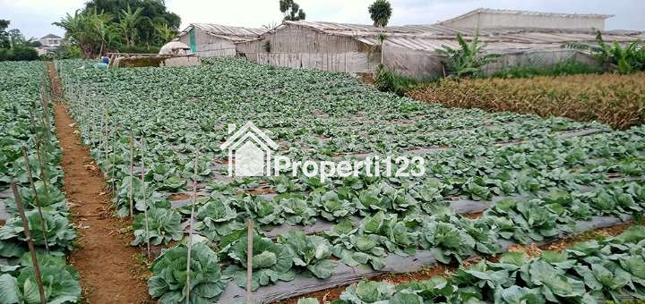 Tanah 2 Hektar Harga Murah Untuk Perumahan Resort Villa Agro Wisata Agro BIsnis di Padaasih Kabupaten Bandung Barat - 1
