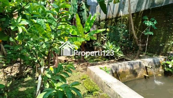 Rumah Mewah LT 400 m² Jalan Kober Purwokerto, Dekat Stasiun - 7