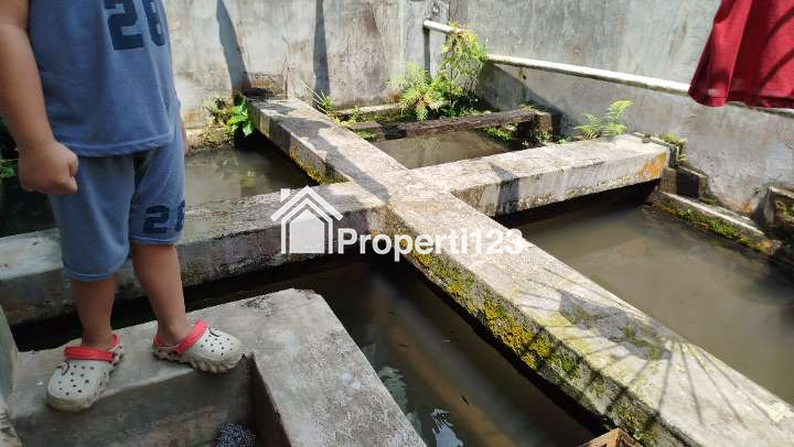 Rumah Mewah LT 400 m² Jalan Kober Purwokerto, Dekat Stasiun - 14