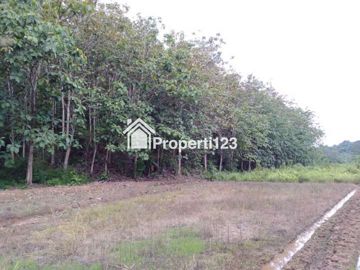 Tanah Stategis di Jalan Raya Poros - 3