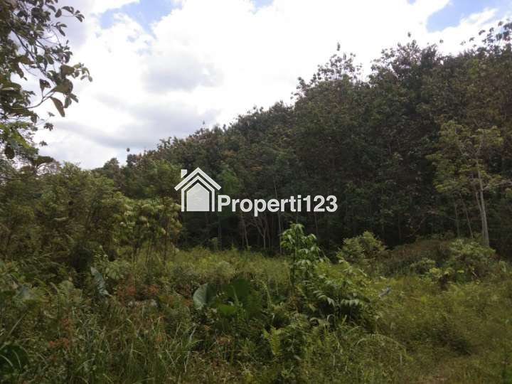 Tanah Stategis di Jalan Raya Poros - 4