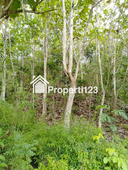 Tanah Stategis di Jalan Raya Poros - 5