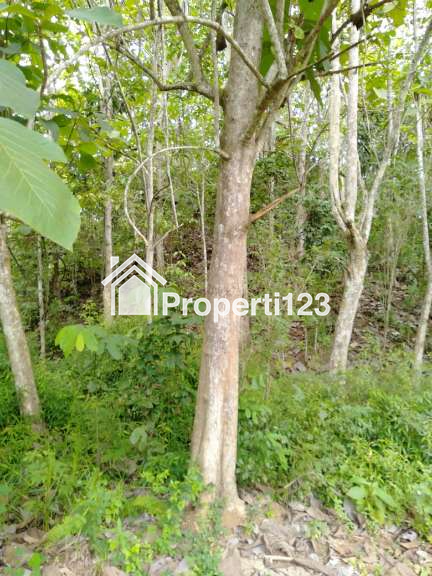 Tanah Stategis di Jalan Raya Poros - 7