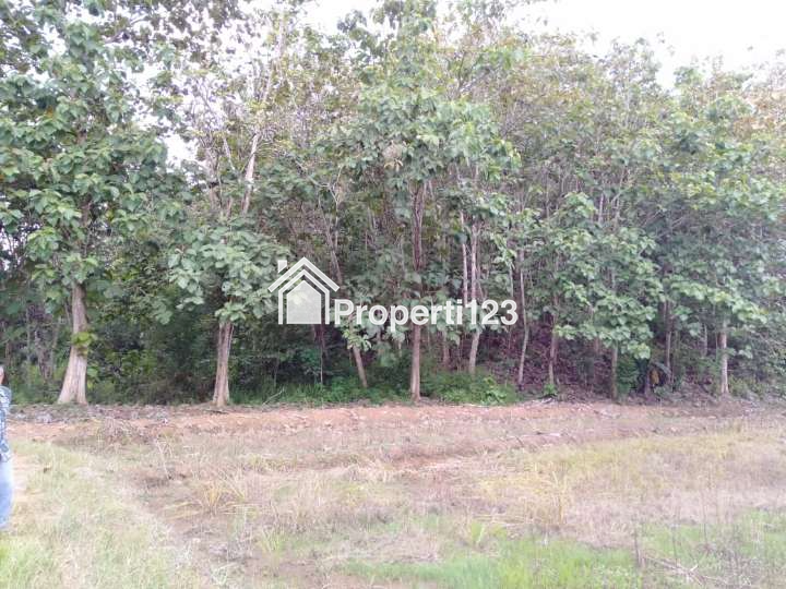 Tanah Stategis di Jalan Raya Poros - 8