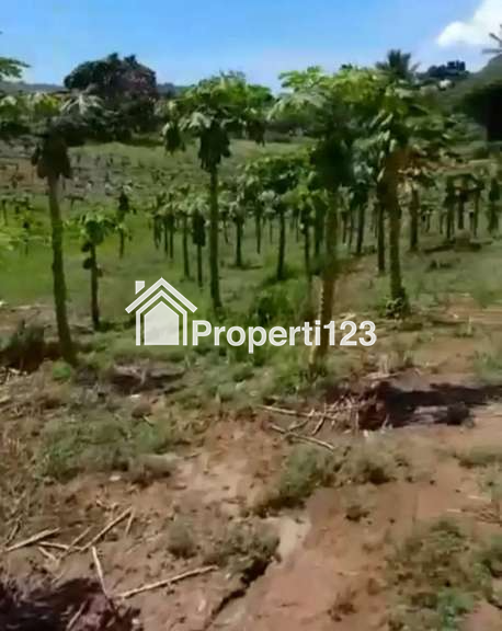 Dijual Tanah Perkebunan di Wusa Manado 23 Ha 45rb/m² - 2