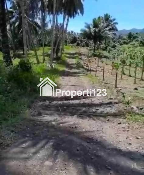 Dijual Tanah Perkebunan di Wusa Manado 23 Ha 45rb/m² - 1