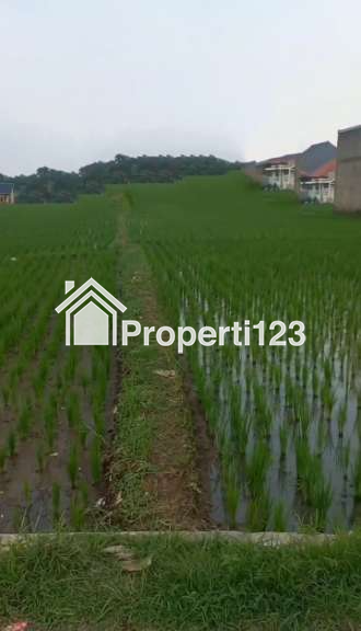 Tanah 2728 m2 SHM Muka 10 Meter untuk Rumah atau Kost dekat Kawasan Perkantoran Pendidikan dan Pertokoan di Sayap Jl. K.H. Abdul Halim Majalengka - 3