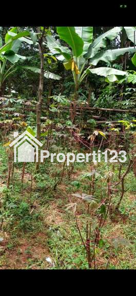 Tanah Kavling SHM 350 m2 Pabuaran Cibinong Akses Jalan  Beton - 2