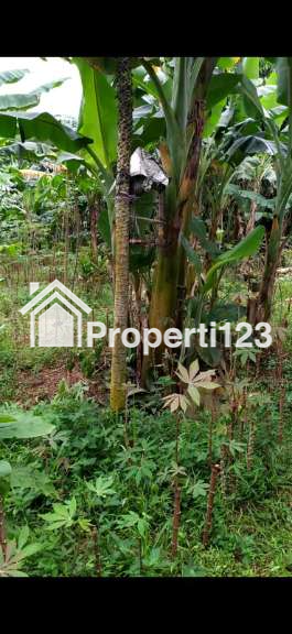 Tanah Kavling SHM 350 m2 Pabuaran Cibinong Akses Jalan  Beton - 5