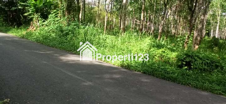 BU - Tanah Kebun Karet Murah Dan Strategis Di Sumatera Selatan - 4
