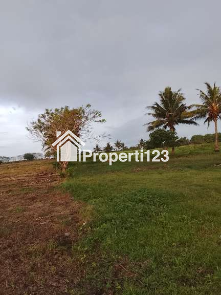 DIJUAL SEGERA TANAH DEKAT PANTAI & KAMPUNG ADAT RATENGGARO DI SUMBA BARAT DAYA - 7