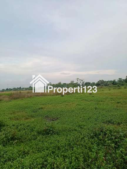 Kaveling Tanah Sawah Kampung Ilir Tunggakjati Karawang Barat - 2