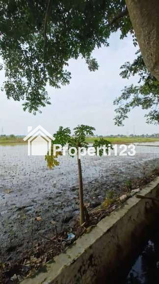 Kaveling Tanah Sawah Kampung Ilir Tunggakjati Karawang Barat - 5
