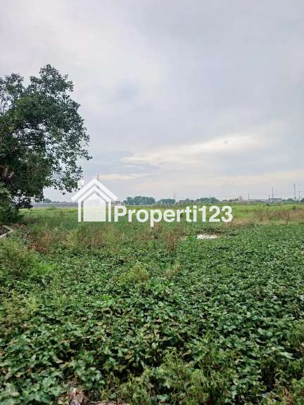 Kaveling Tanah Sawah Kampung Ilir Tunggakjati Karawang Barat - 3