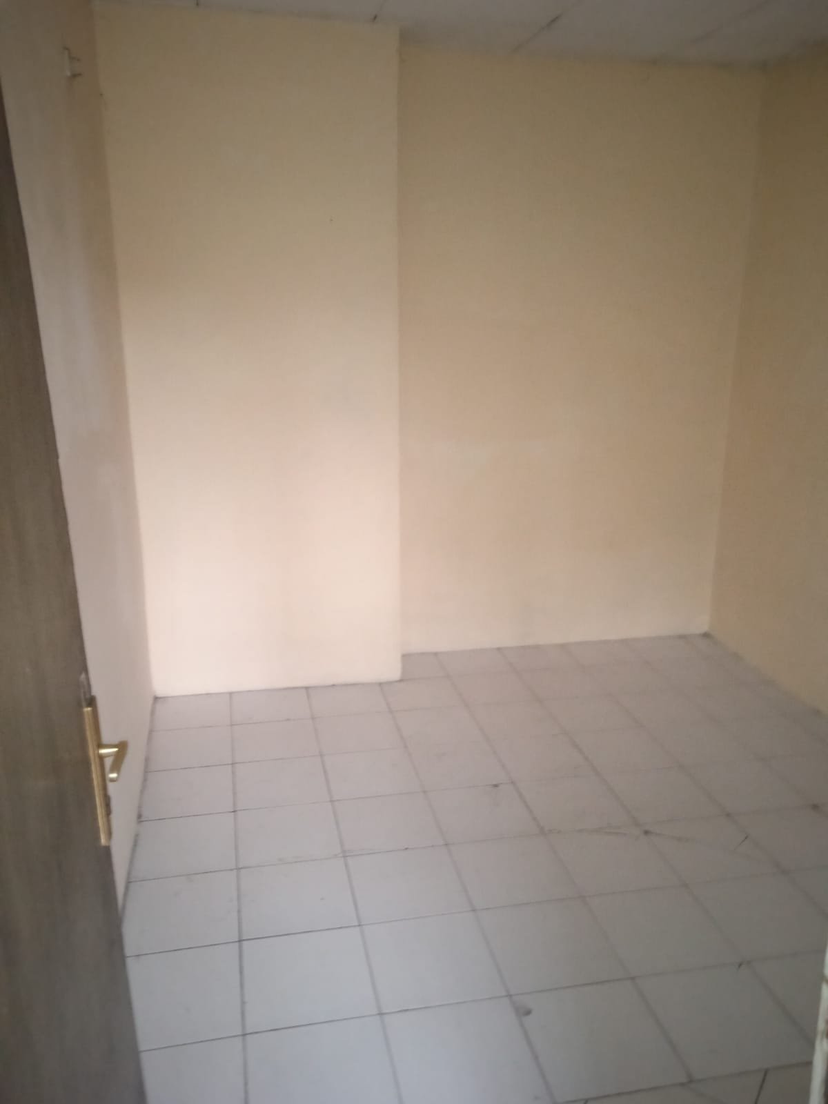 DISEWAKAN RUKO LOKASI STRATEGIS DEKAT BINUS KIJANG - 6