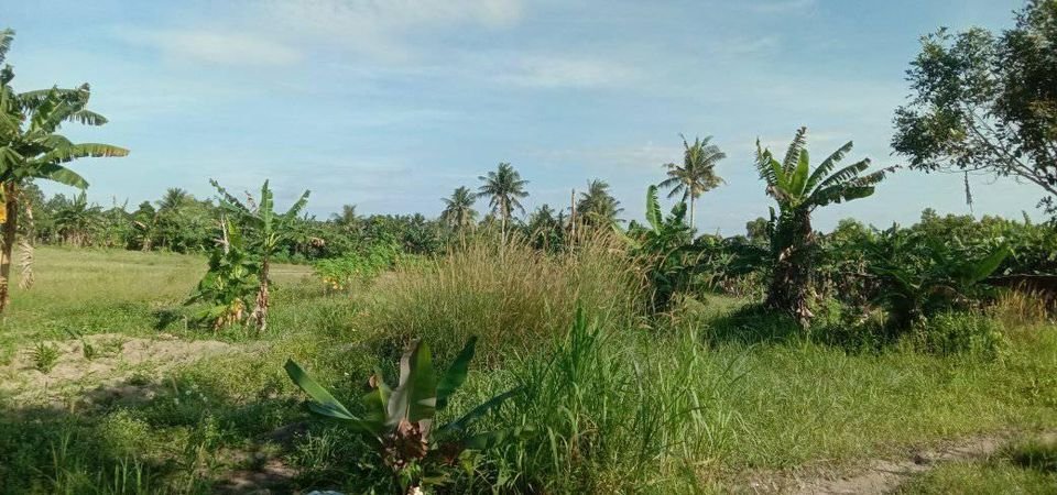 (Tanpa perantara) Tanah SHM 3ha di tengah kota Tanjungpinang - 2