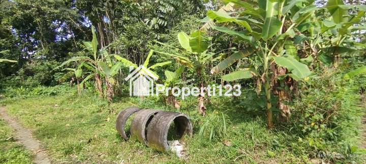 Dijual Tanah Kavling SHM Lokasi Strategis Dekat Masjid Tiban di Sananrejo Turen - 6