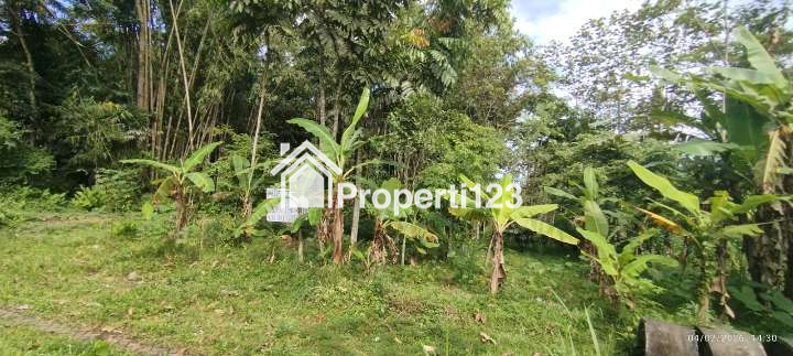 Dijual Tanah Kavling SHM Lokasi Strategis Dekat Masjid Tiban di Sananrejo Turen - 5