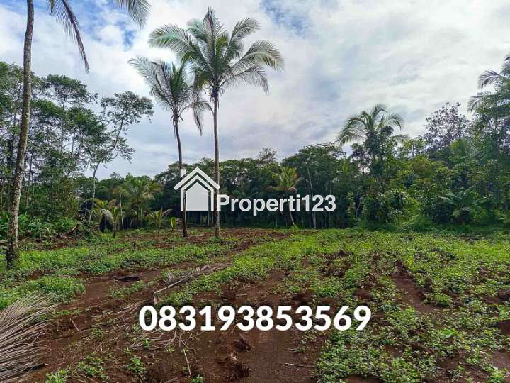 Jual Tanah  Murah Pandeglang Banten - 2